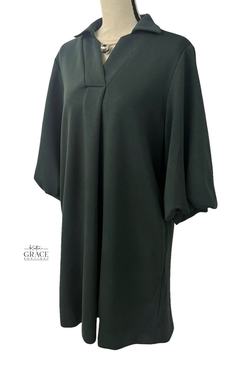"Camille" Poet Sleeve Dress